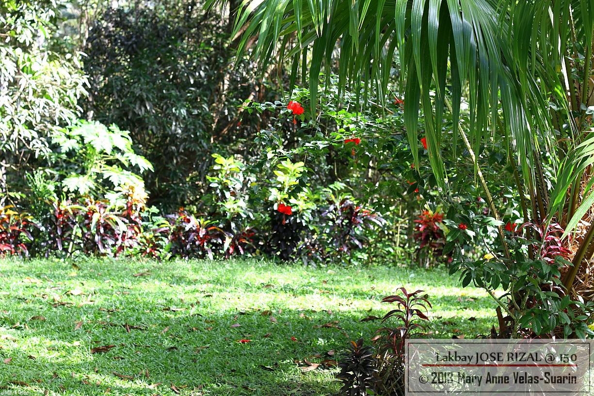 Rizal and his pupils tended this farm on weekends. [Photo by Mary Anne Velas-Suarin]